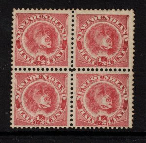 Newfoundland #57 Very Fine Mint Block - Bottom Stamps Never Hinged Top Hinged