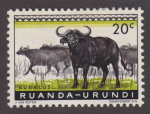 Ruanda - Urundi 138 Cape Buffaloes 1959