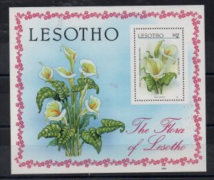 LESOTHO - 1987 - FLOWERS - THE FLORA OF LESOTHO - M/S -