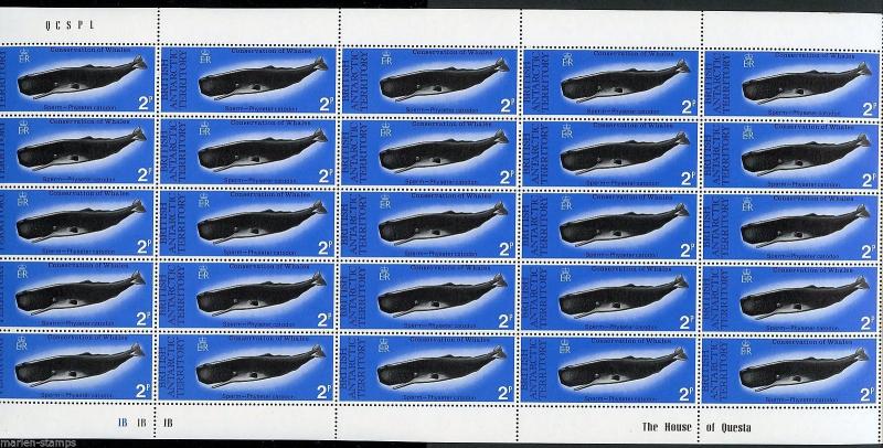 BRITISH ANTARCTIC  TERRITORY  SC#64/67  WHALES COMPLETE SHEETS OF 25 MINT NH