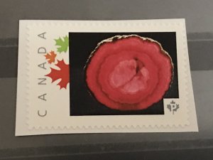 Canada Post Picture Postage Mint NH *Circle Pink Minéral GEM * *P* denomination