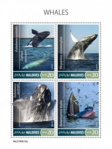 Maldives 2019 MNH Marine Animals Stamps Whales Bryde's Humpback Whale 4v M/S