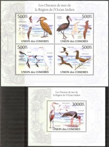 Comoro Islands 2010 Birds Sheet + S/S MNH