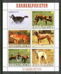 UZBEKISTAN SHEET DOGS