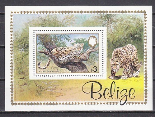 Belize, Scott cat. 693. Jaguar s/sheet.