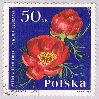 Poland Flowers 50 (AP115810) ...