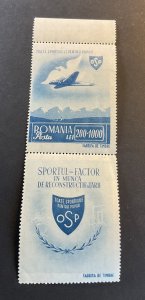 Romania Sc# B289 Mint Never Hinged MNH Vertical with Label 1945 Mail Plane