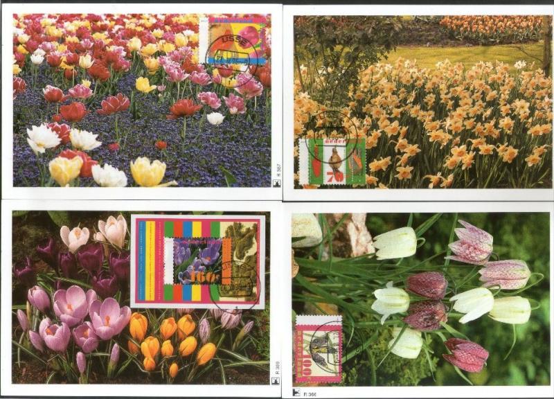 Netherlands 1996 Spring Flowers Tulip Crocuses Plant Sc 921-24 Set of 3v+M/s ...