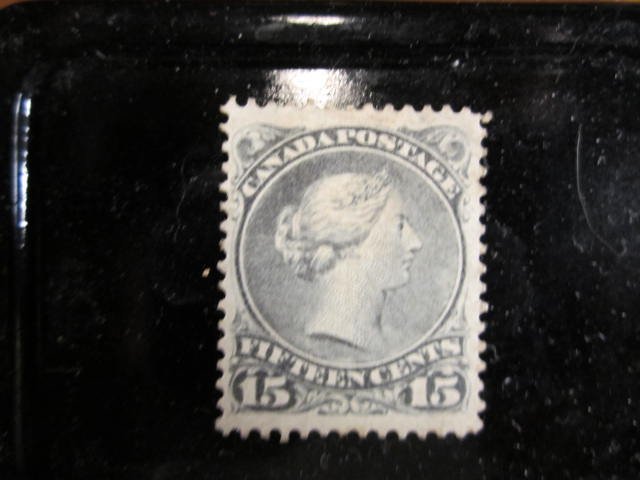 Large Queen  MINT