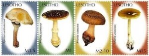Lesotho 2007 - Mushrooms - Set of 4 Stamps - Scott #1421-4 - MNH