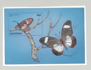 Lesotho 1997 Butterflies 1v S/S Imperf Proof