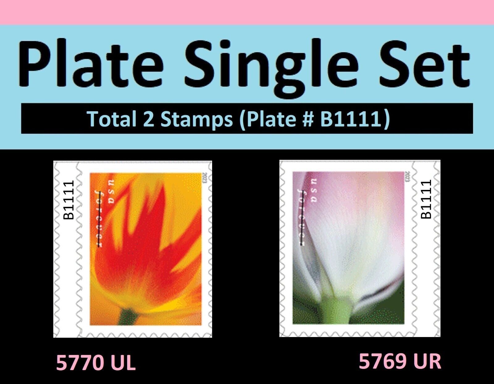 US 5769 5770 Tulip Blossoms forever plate single set (2 stamps) MNH 2023 Apr 10 United States
