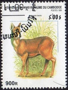 Cambodia 1912 - Cto - 900r Water Deer (1999)