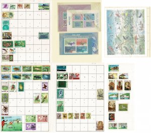 Malawi collection part 2 odds & ends w SS
