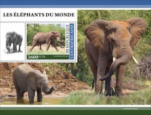 Central African Rep 2022 MNH Wild Animals Stamps Elephants of World 1v S/S