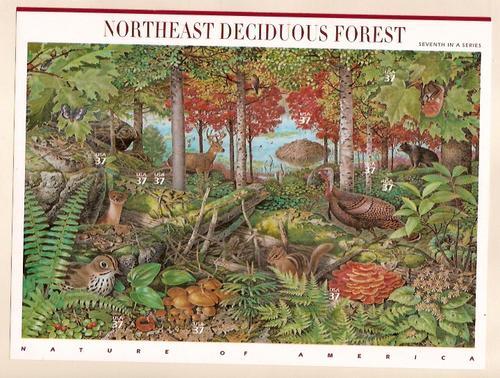 #3899 Northeast Deciduous Forest Full Sheet of 10 NH