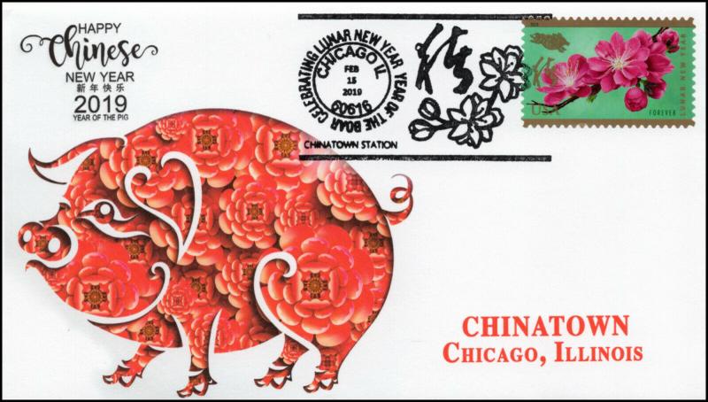 19-085, 2019, Year of the Boar, Pictorial Postmark, Event Cover, Chinatown