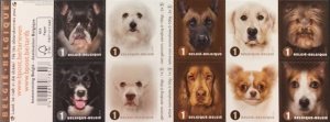 Belgium 2014 Dogs breeds set of 10 stamps in block / booklet MNH