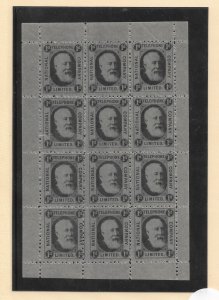 GB: 1d 1884 National Telephone Co Limited, Sht/12, MNH, Barefoot #1 (55297)