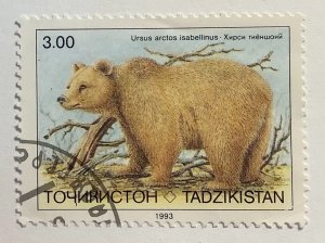 Tajikistan 1993 Scott 15 used - 3.00 R, Himalayan Brown Bear