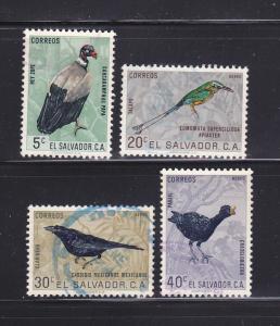 Salvador C200, C203-C205 U Birds