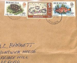 Bermuda Wildlife Commercial Usage $3 GREEN TURTLE Air Mail Cover FISH 1990 BT17