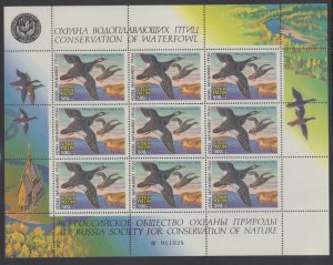 Russia MNH. 1994 Duck Hunting Stamps, Waterfowl Conservation Miniature Sheet