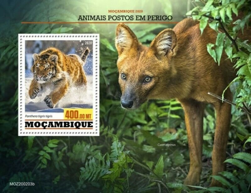 Mozambique - 2020 Endangered Species, Bengal - Stamp Souvenir Sheet - MOZ200203b