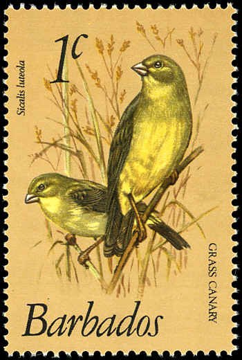 BARBADOS Sc 495 VF/MNH - 1979 1¢ Grass Canaries