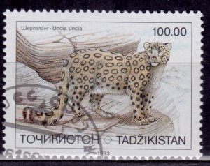 Tajikistan, 1993, Endangered Snow Leopard, 100.00r, used*