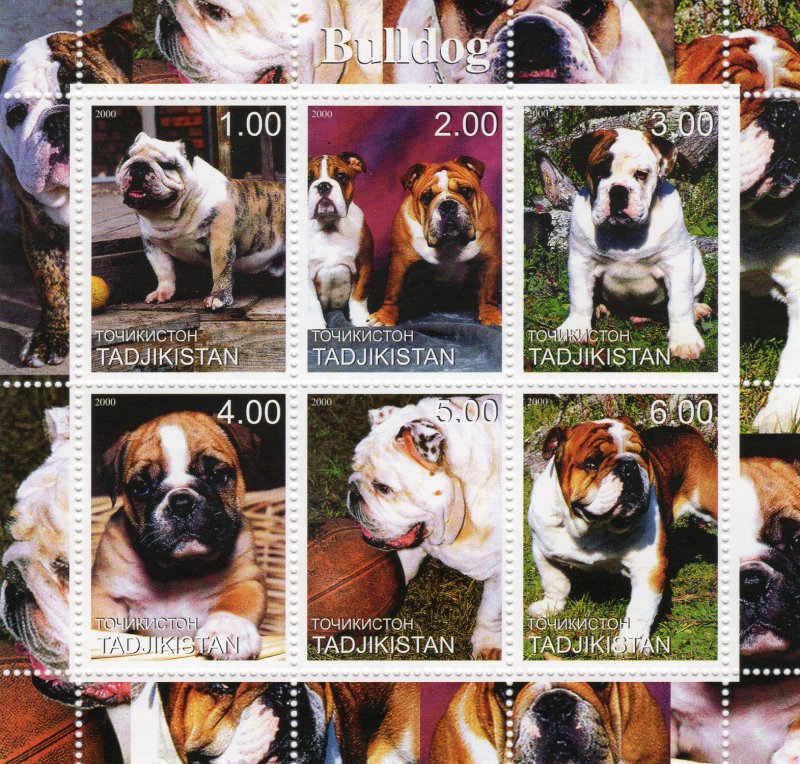 Tajikistan 2000 DOGS -  BULLDOG    Sheetlet (6)  MNH