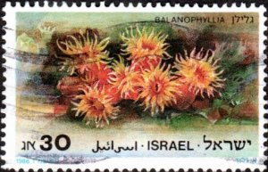 Israel 932 - Used - 30a Red Sea Cup Coral (1986) (cv $1.10)