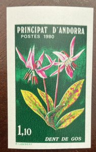 P) 1980 ANDORRA FR, PROOF NATURE PROTECTION, DOGS TOOTH VIOLET, ENDEMIC FLORA