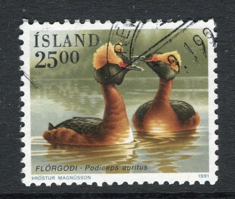 ICELAND; 1990s early Birds issue fine used 25k. value