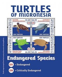 Micronesia 2012 - Turtles Marine Life - Sheet of 4 Stamps - Scott #980 - MNH