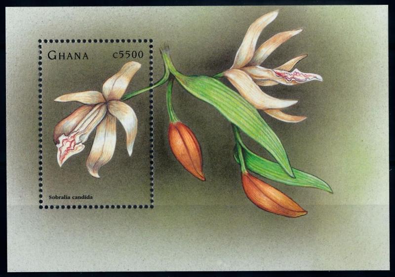 [66541] Ghana 1998 Flora Flowers Blumen Orchids Souvenir Sheet MNH