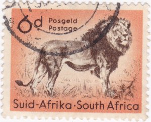 South Africa - 1954 Wild AnimalsLion- 6d used