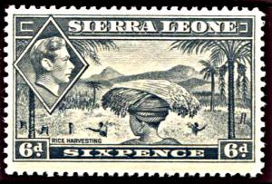 Sierra Leone 180, MNH, Rice Harvesting