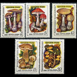 RUSSIA 1986 - Scott# 5454-8 Mushrooms Set of 5 NH