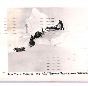 USA Polar BYRD ANTARCTIC EXPEDITION *Dog Team* RP Card 1934 Captain Signed PH3