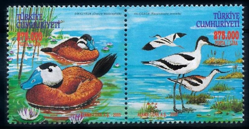 [66370] Turkey 2000 Birds Duck  MLH