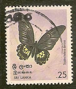 Sri Lanka   Scott  534   Butterfly   Used