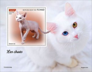 Chad - 2023 Cats Breeds, Devon Rex - Stamp Souvenir Sheet - TCH230104b