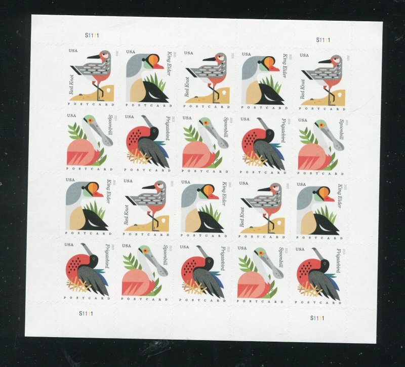 4991 - 4994 Coastal Birds Sheet of 20 Postcard Rate Stamps MNH