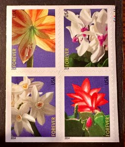 US # 4865a Winter Flowers block of 8 (4 on each side)  forever 2014 Mint NH