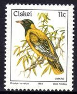 Ciskei - 1984 Birds 11c Oriole MNH** SG 14a