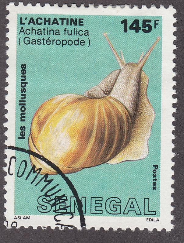 Senegal 773 Achatina Fulica 1988