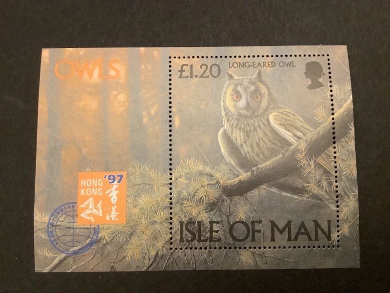 Isle Of Man Long Eared Owl Hong Kong 97 Stamp Sheet  R40888