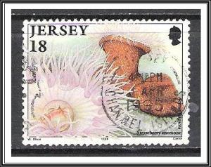 Jersey #681 Marine Life Used