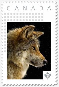 WOLF = Personalized Picture Postage stamp MNH Canada 2018 p18-07s07